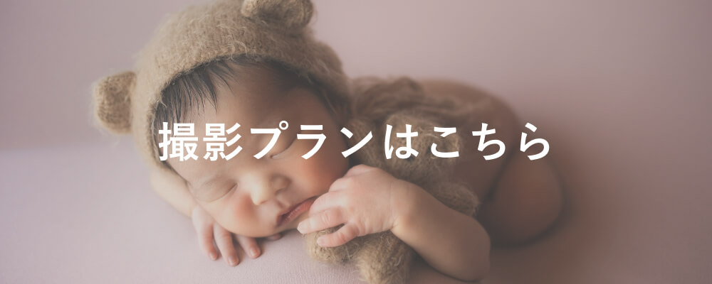 撮影プランはこちら